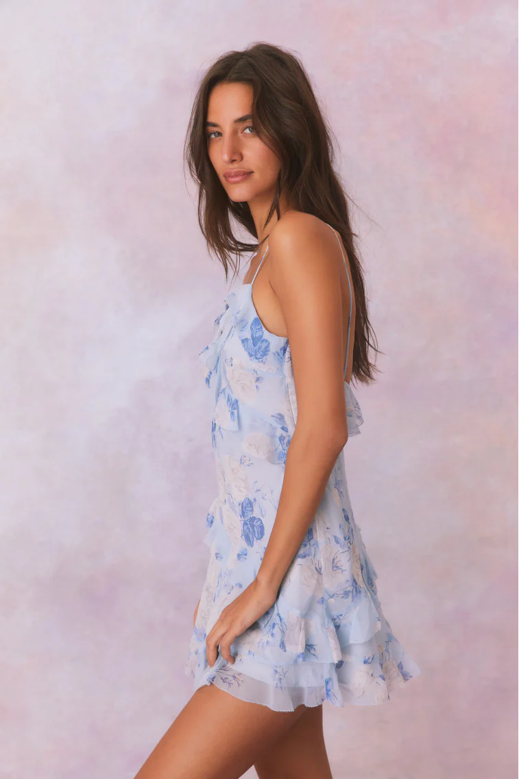 Lomina Heirloom Print Silk Mini Dress - Image 10