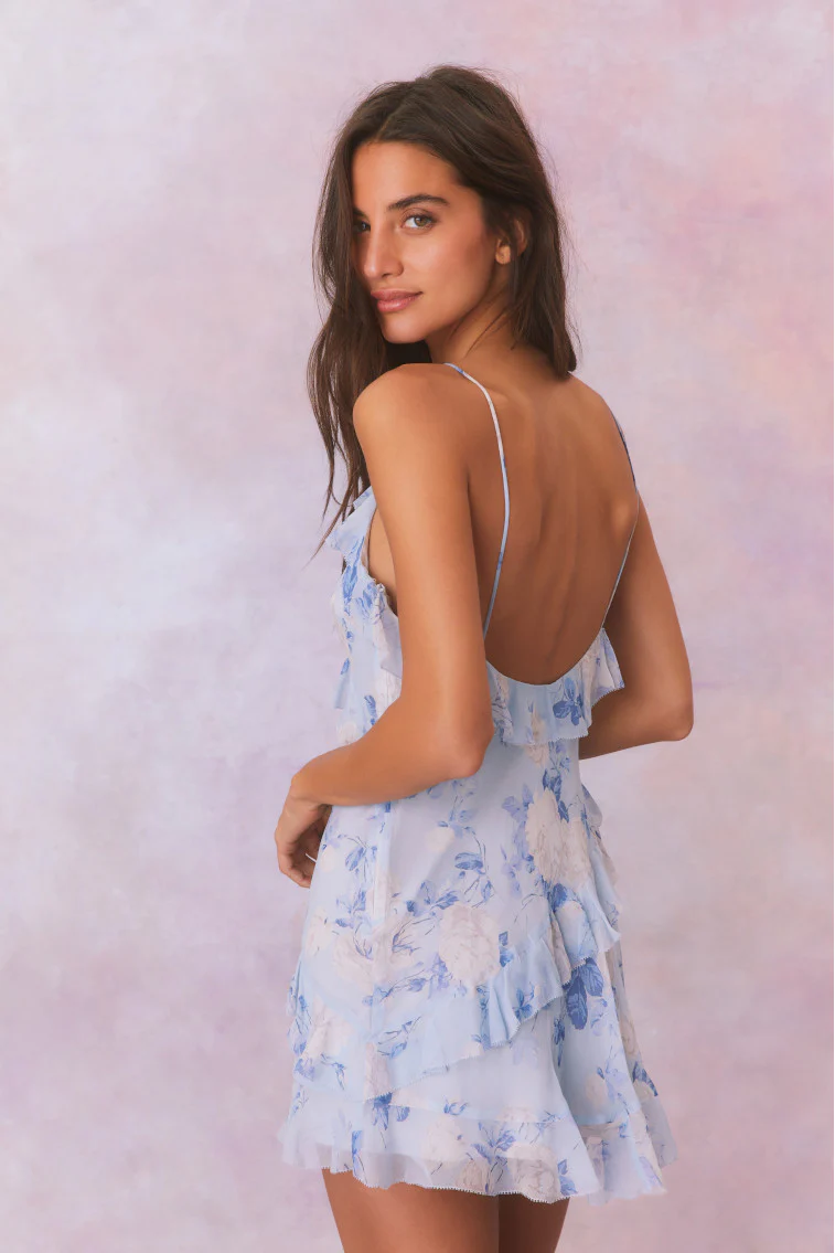 Lomina Heirloom Print Silk Mini Dress - Image 12